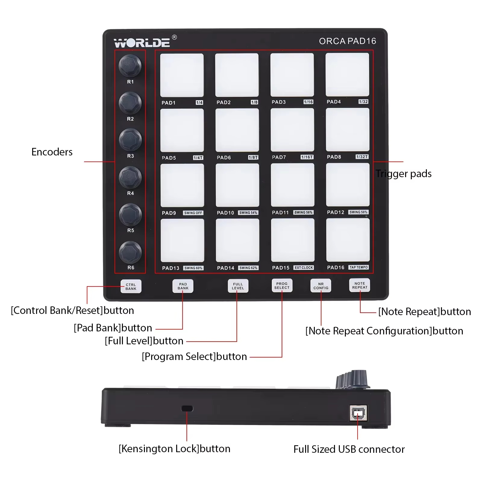 Contrôleur MIDI WORLDE ORCA PA - Midi Controller Pad avis et prix